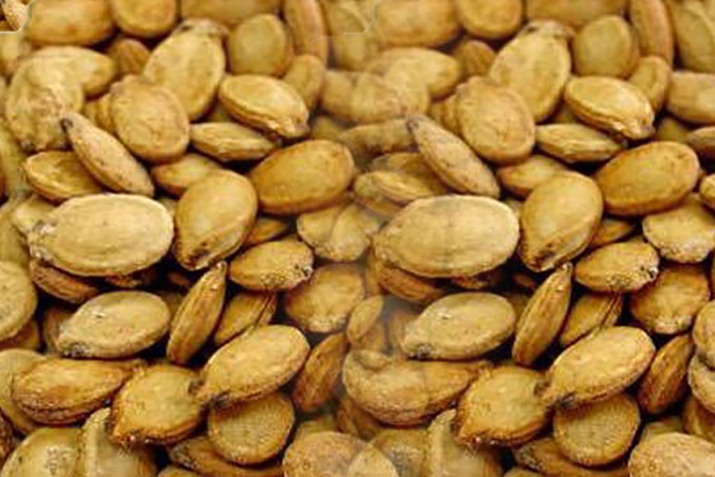 Dried Almonds